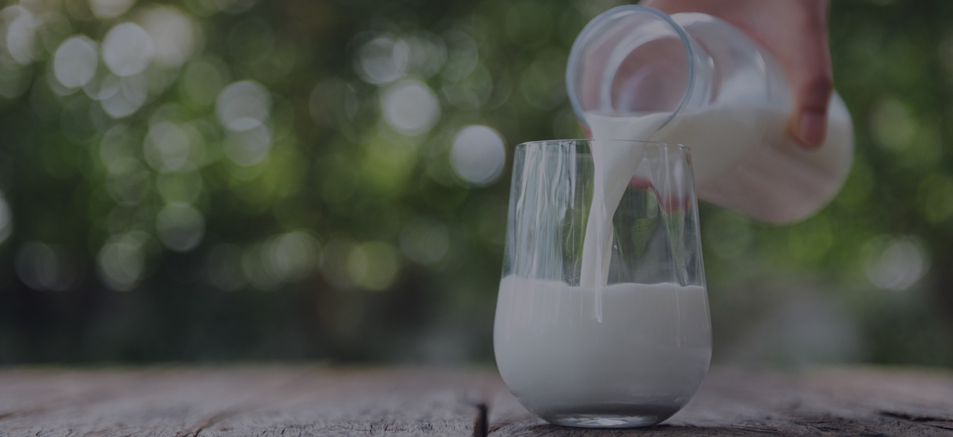 Lactalis_banner_top