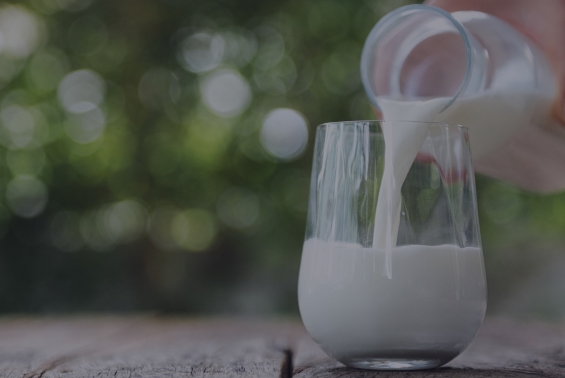 Lactalis_banner_top