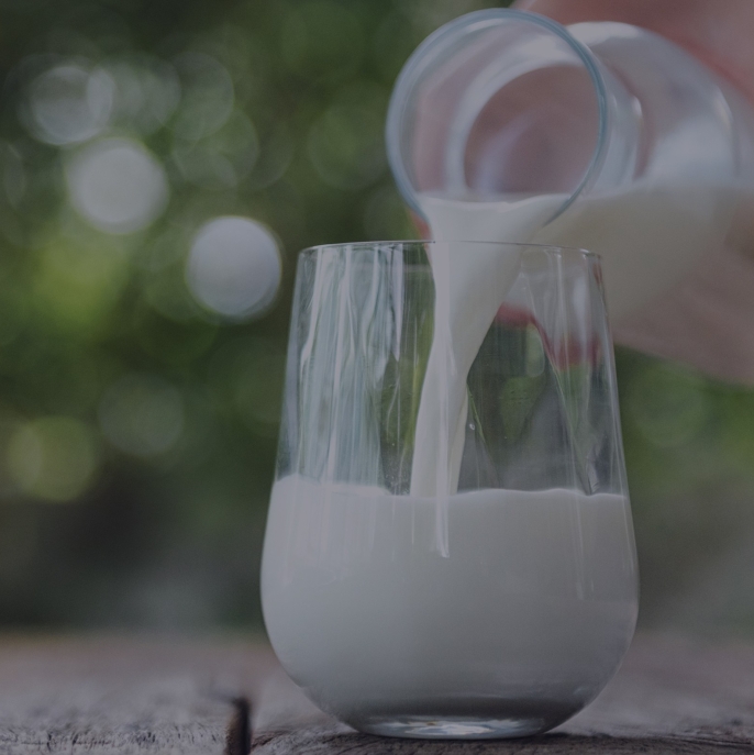 Lactalis_banner_top