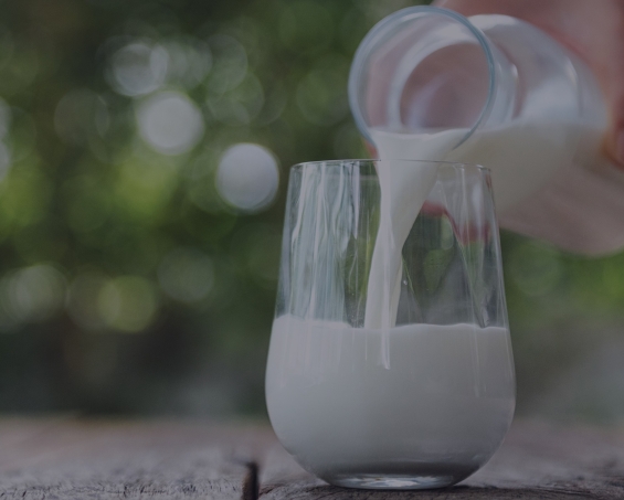 Lactalis_banner_top